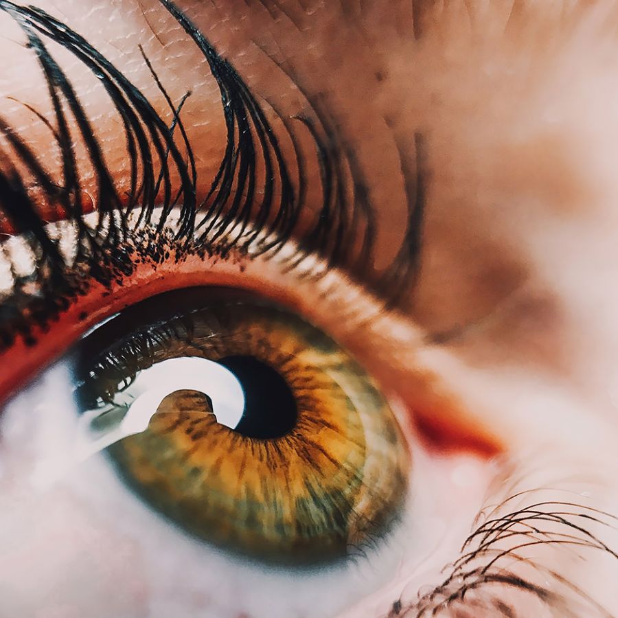 Kontaktlinsenanpassung